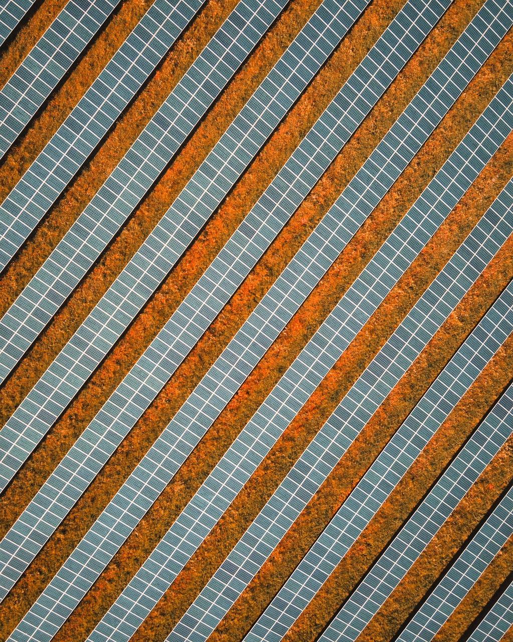solar-5281673_1280